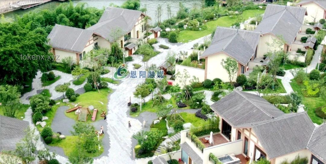 龙舟赛事新体验：传统与“一镜到底”沉浸式对比